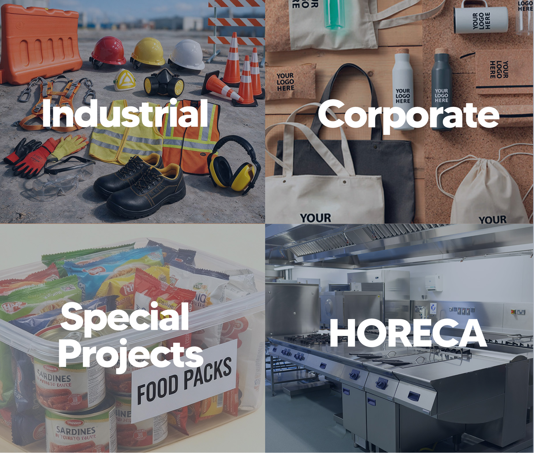 Everlast sales channels: Industrial, Corporate, Special Projects, and HORECA