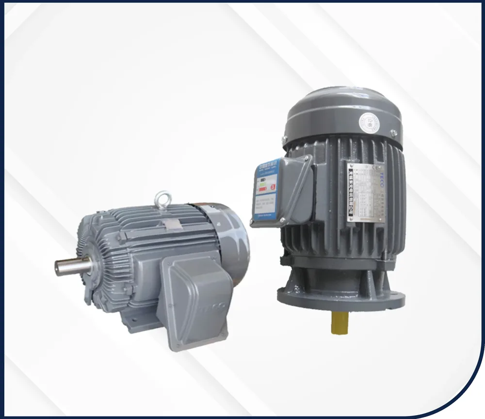 LV Induction Motor